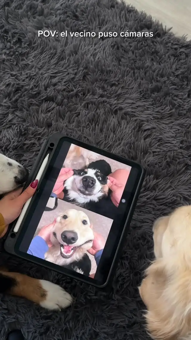 Instagram post thumbnail