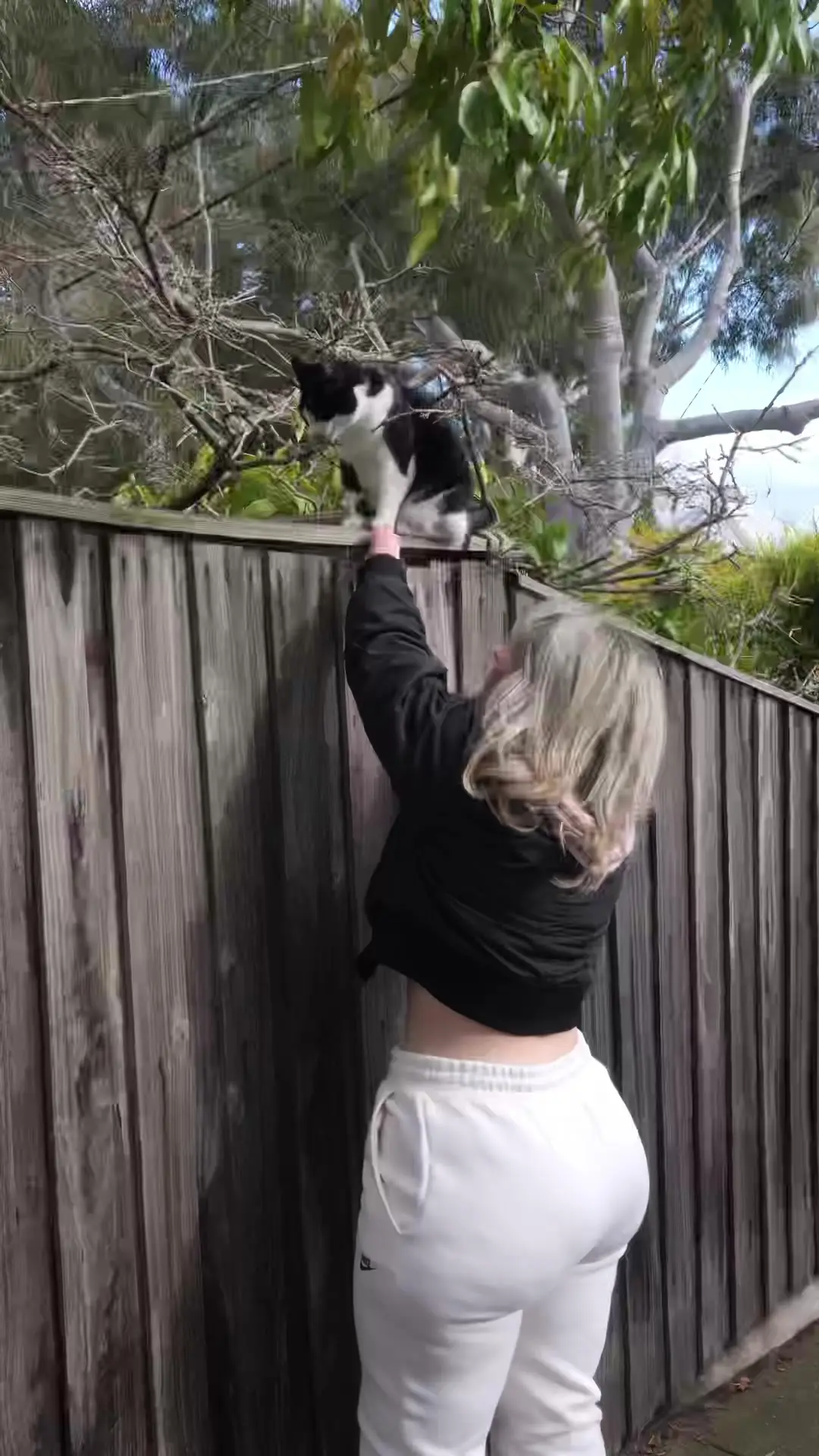 Tiktok post preview 3 from @vanessacalafiore