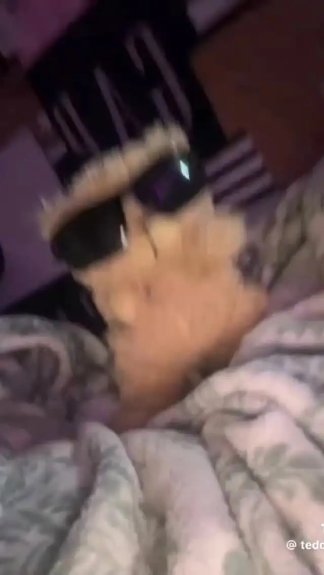 Instagram post thumbnail