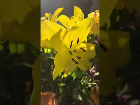 Youtube post thumbnail