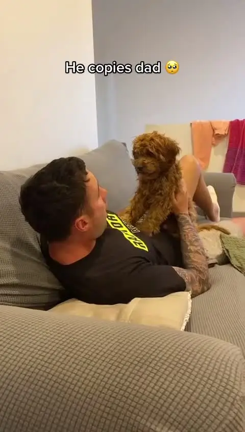 Tiktok post preview 3 from @joshjakeee