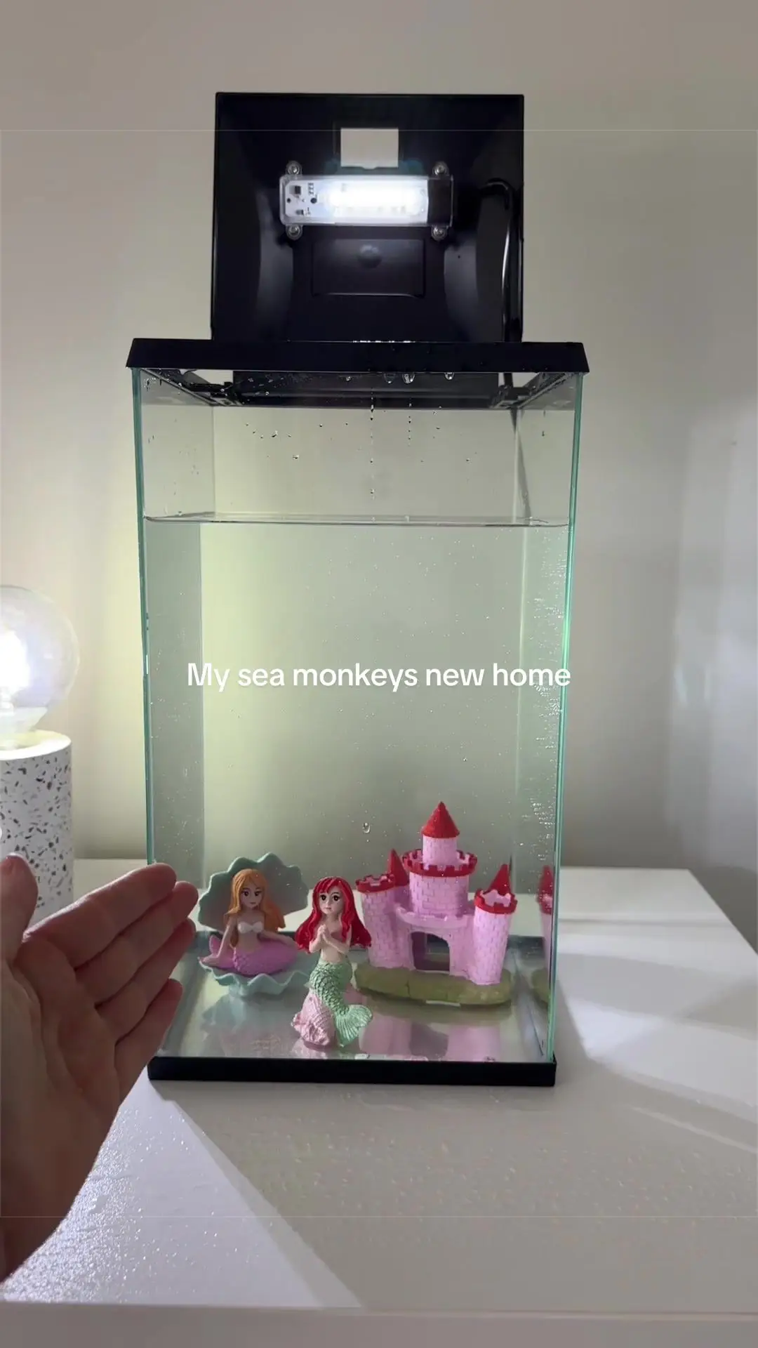 Tiktok post thumbnail