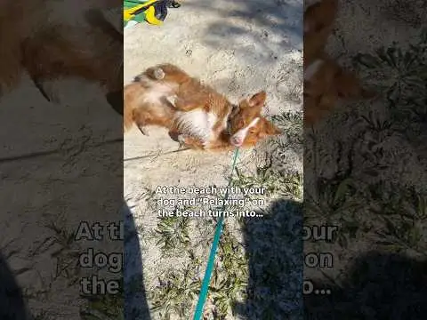 Youtube post preview 3 from UCB3Tg2iozTjF_LJRVmSv8rA