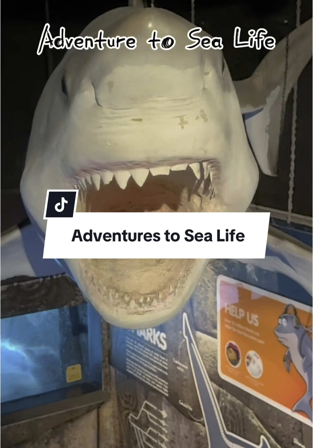 Tiktok post thumbnail