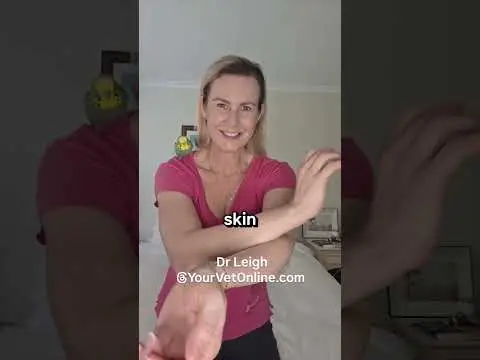 Youtube post thumbnail