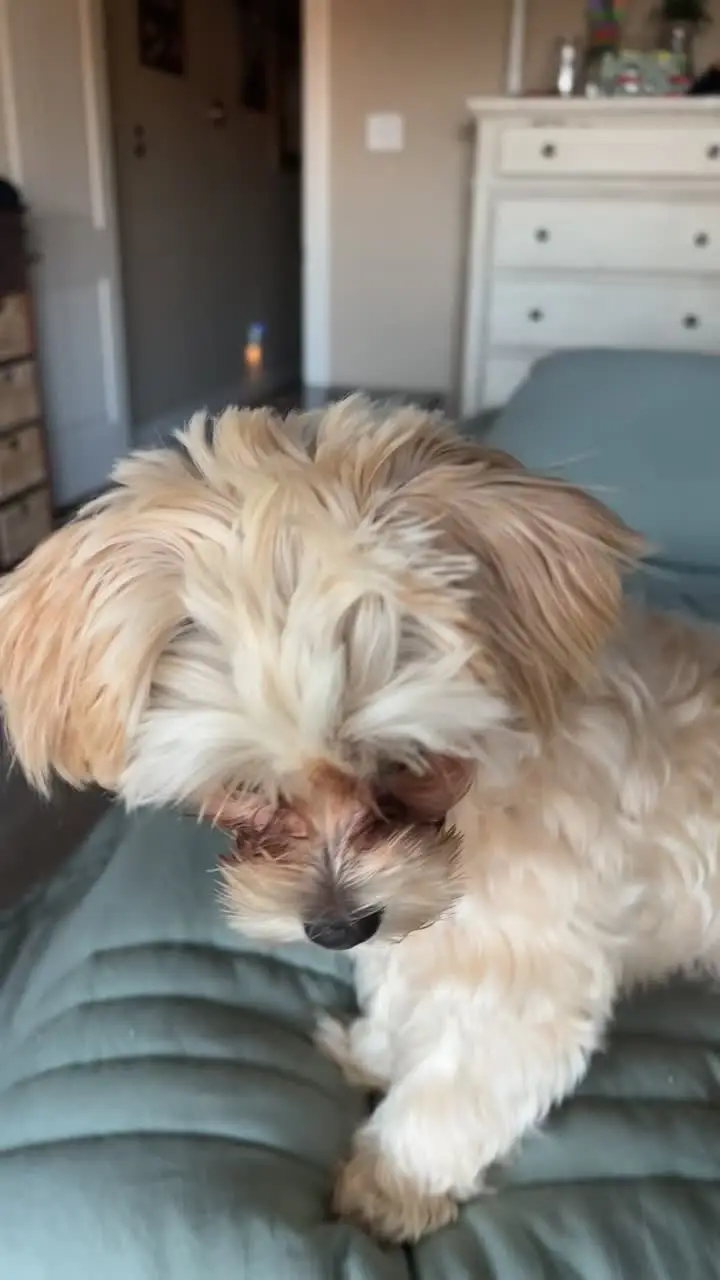 Tiktok post thumbnail