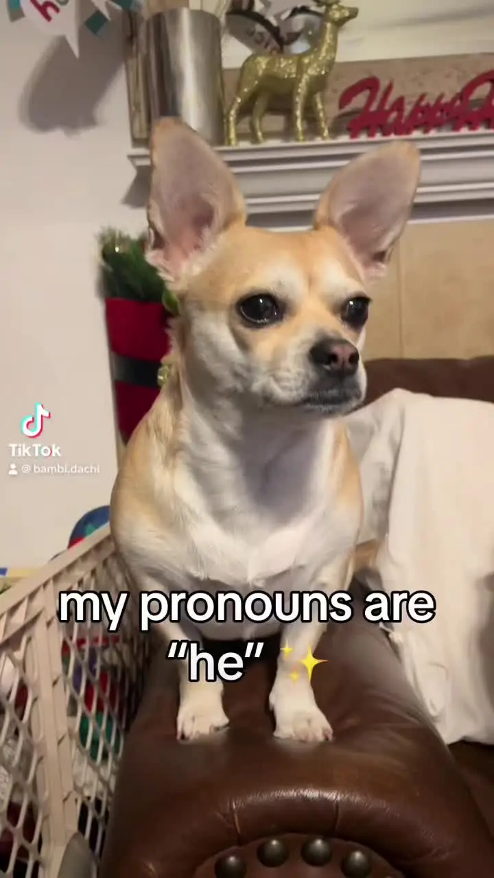 Tiktok post thumbnail