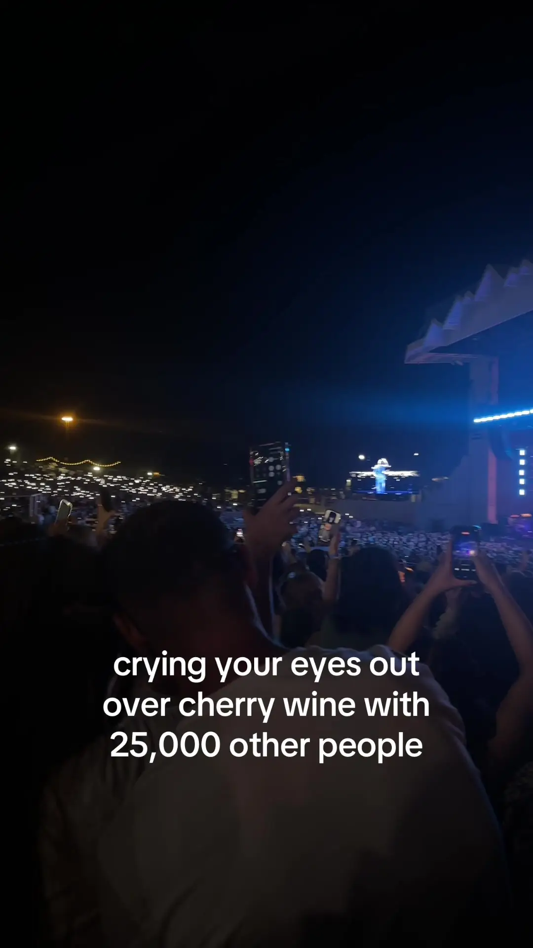 Tiktok post preview 2 from @sarajeanjoy