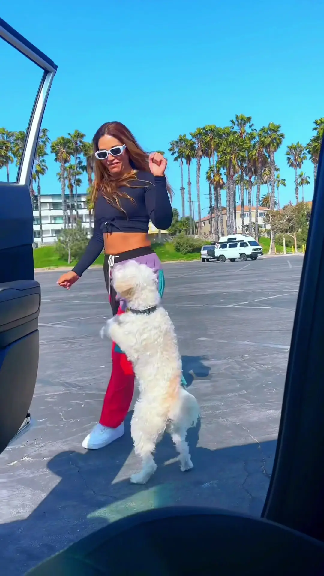 Tiktok post thumbnail