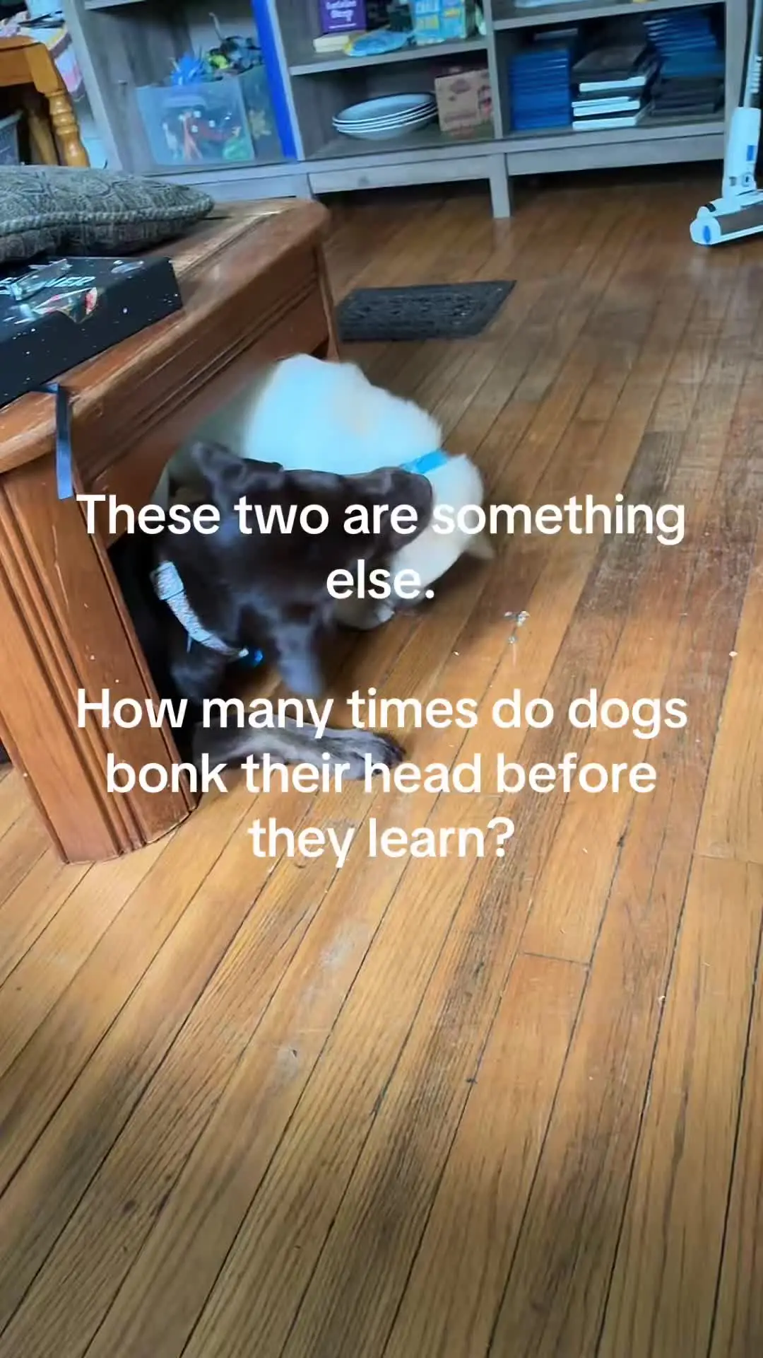 Tiktok post thumbnail