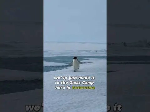 Youtube post thumbnail