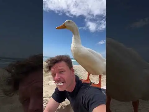 Youtube post preview 2 from UCEAWeZYuBQxsZ3lHyUxqlSQ