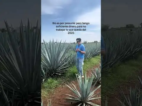 Youtube post preview 3 from UCeiaMu2wqsZLthWXDRQ455g