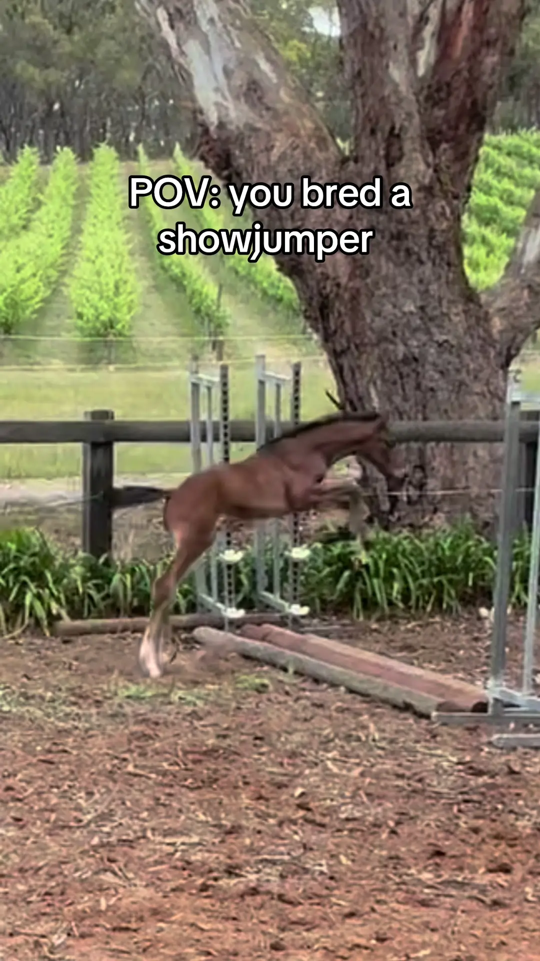 Tiktok post preview 3 from @nataliestephen_eq