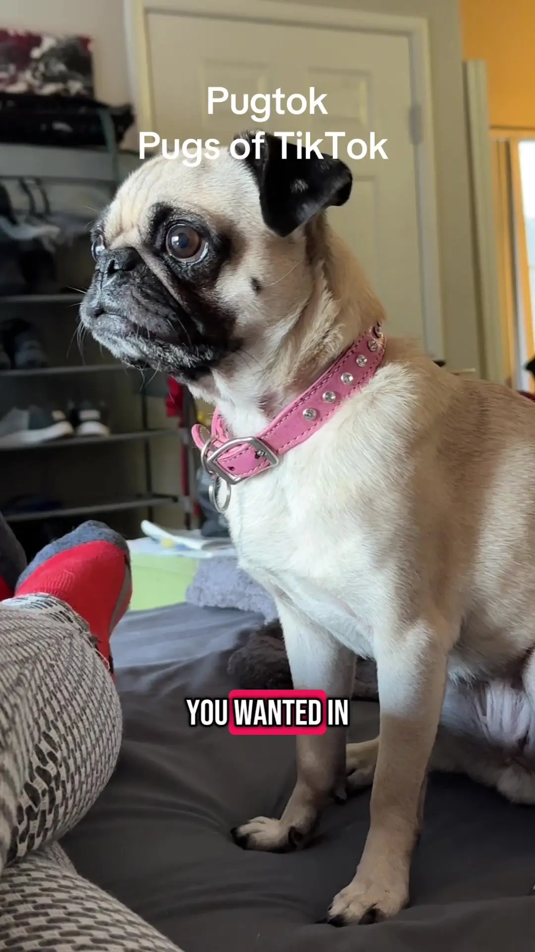 Tiktok post thumbnail