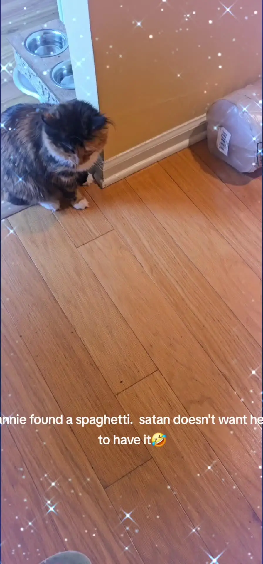 Tiktok post thumbnail