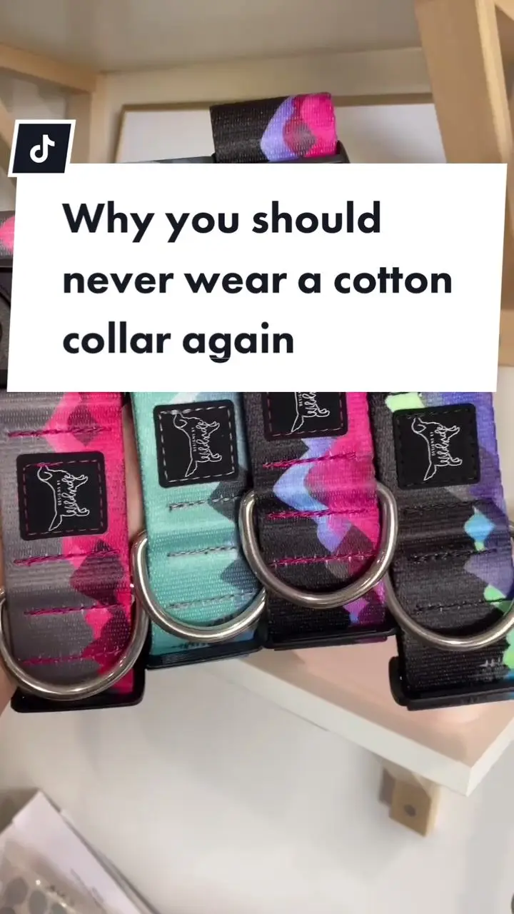 Tiktok post preview 2 from @wildsidedoggear