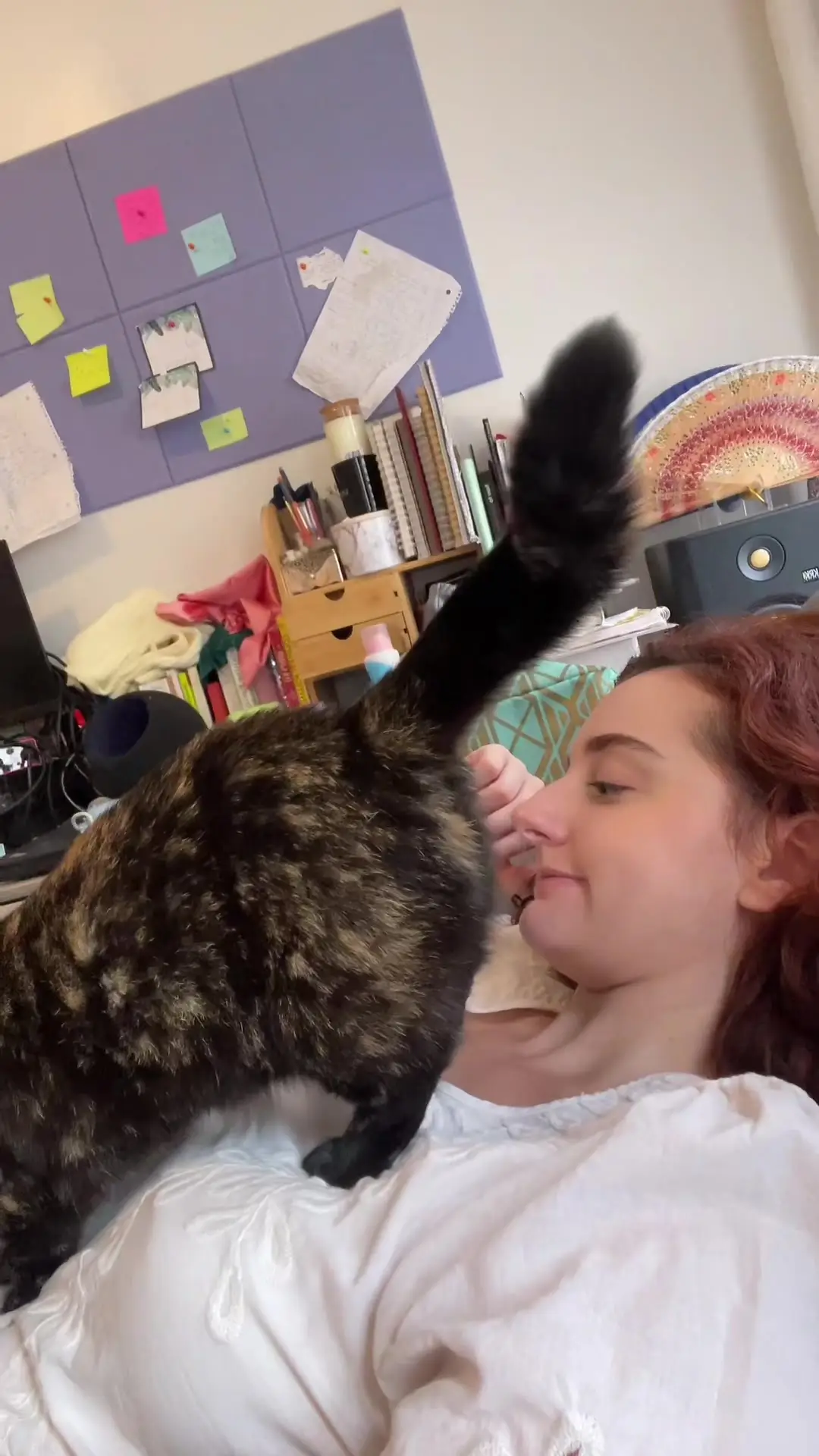 Tiktok post thumbnail