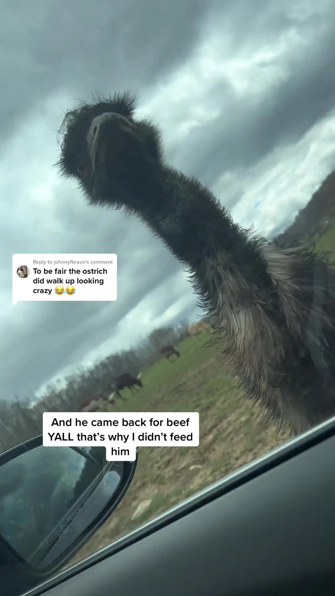 Tiktok post preview 2 from @jayronya