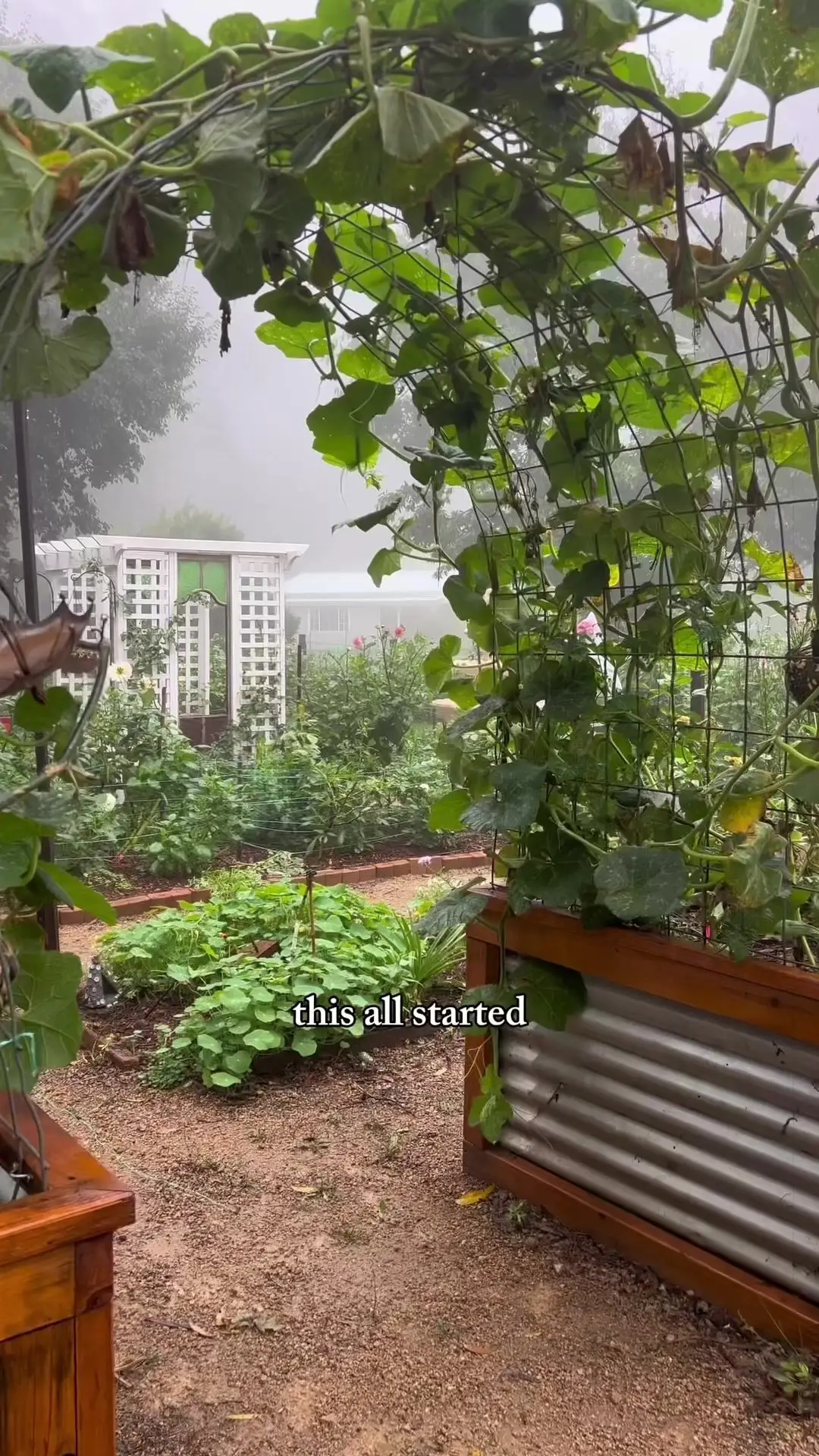 Tiktok post preview 2 from @avonleacottagegardens
