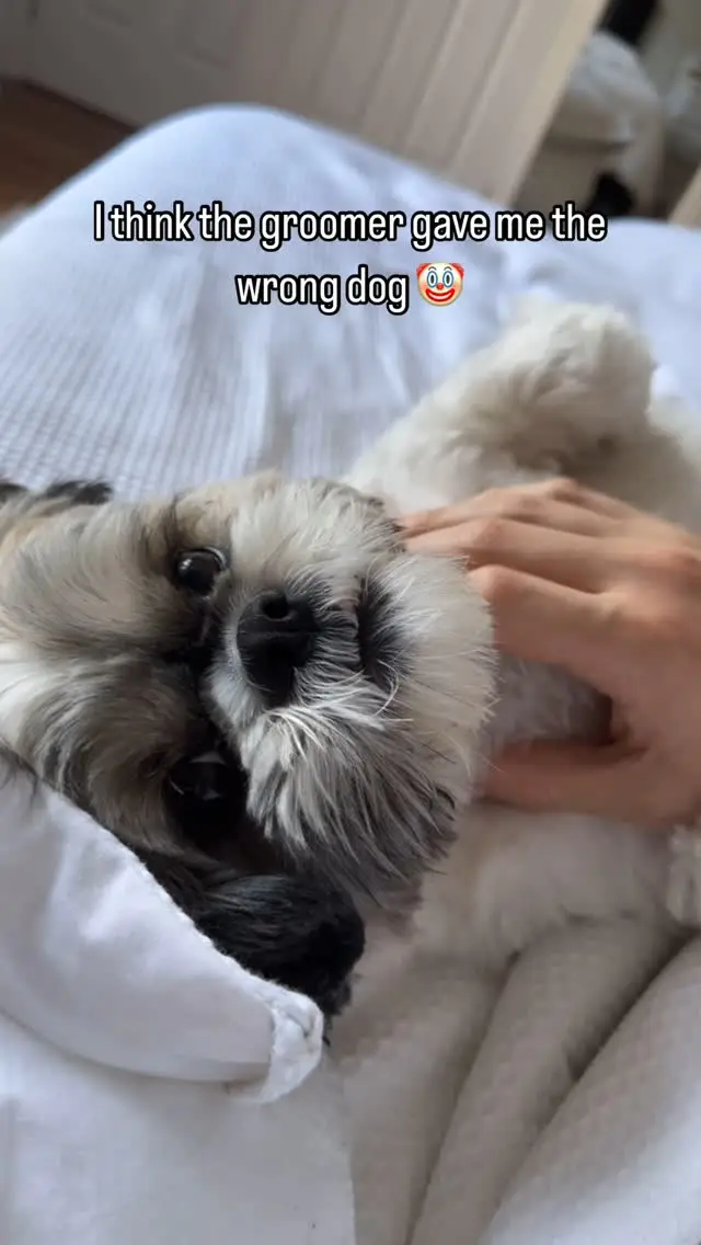 Instagram post thumbnail