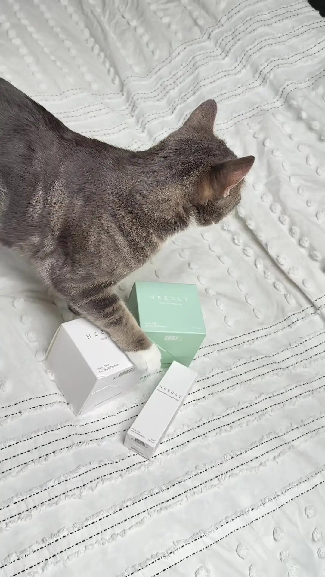 Tiktok post preview 2 from @alinakyrychenko