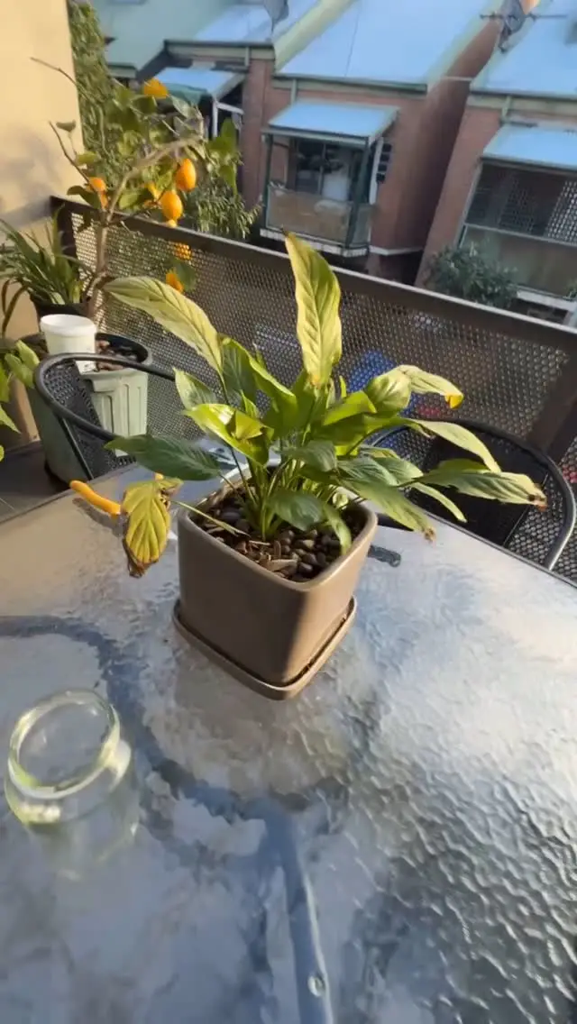 Instagram post thumbnail