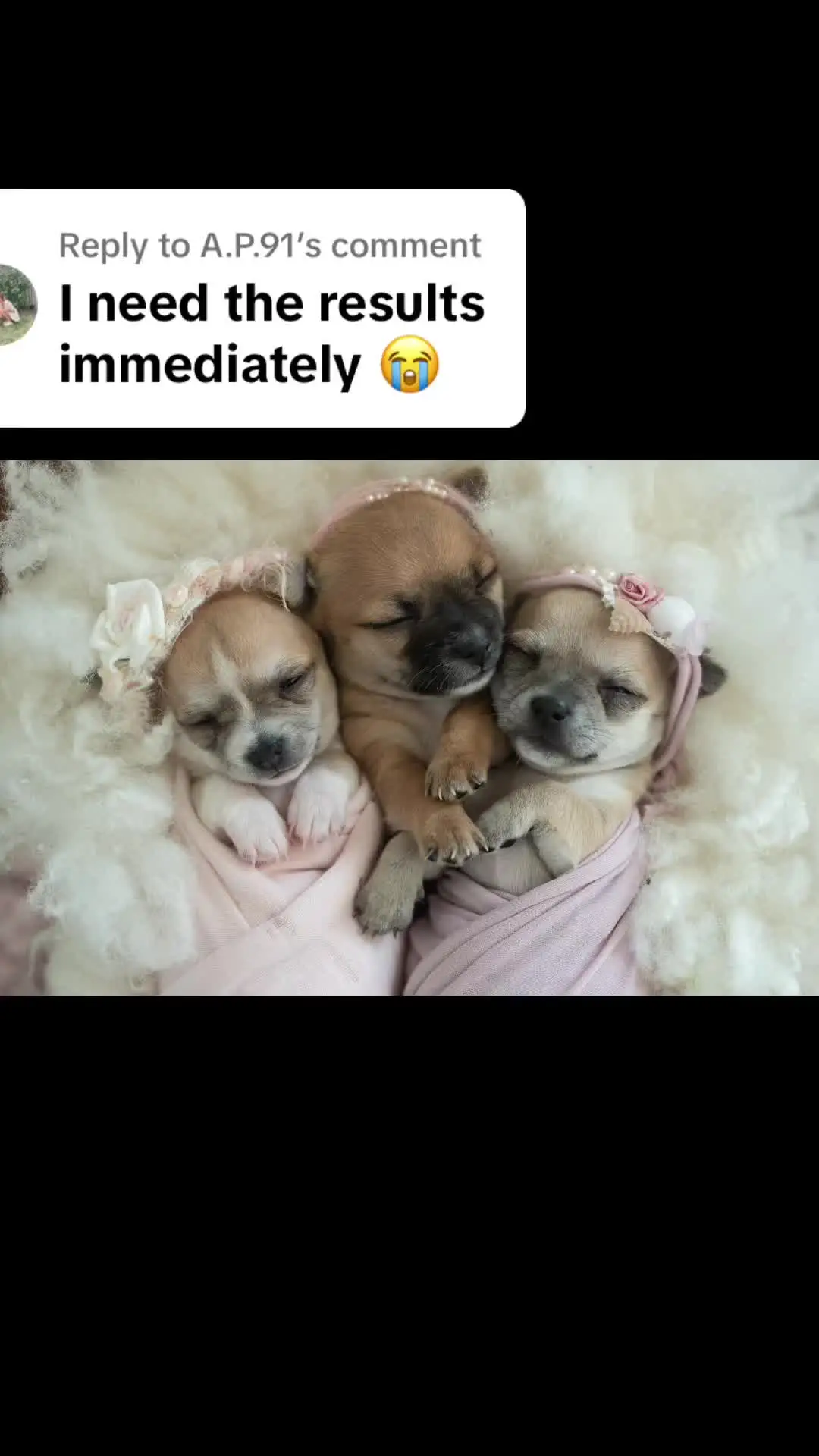 Tiktok post preview 1 from @misstiarna_