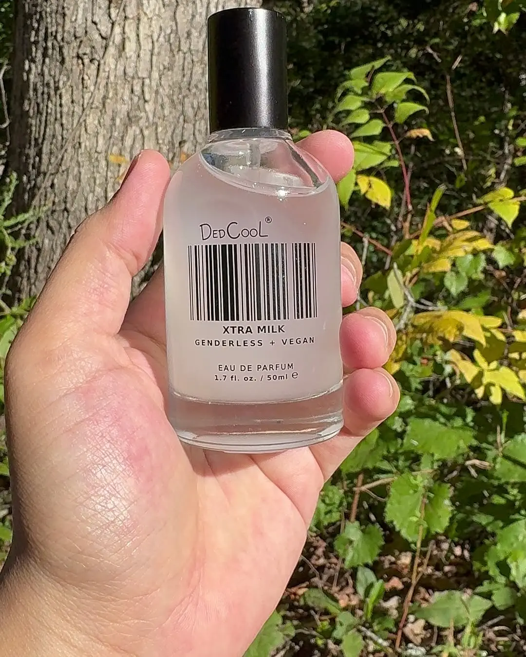 Instagram post thumbnail