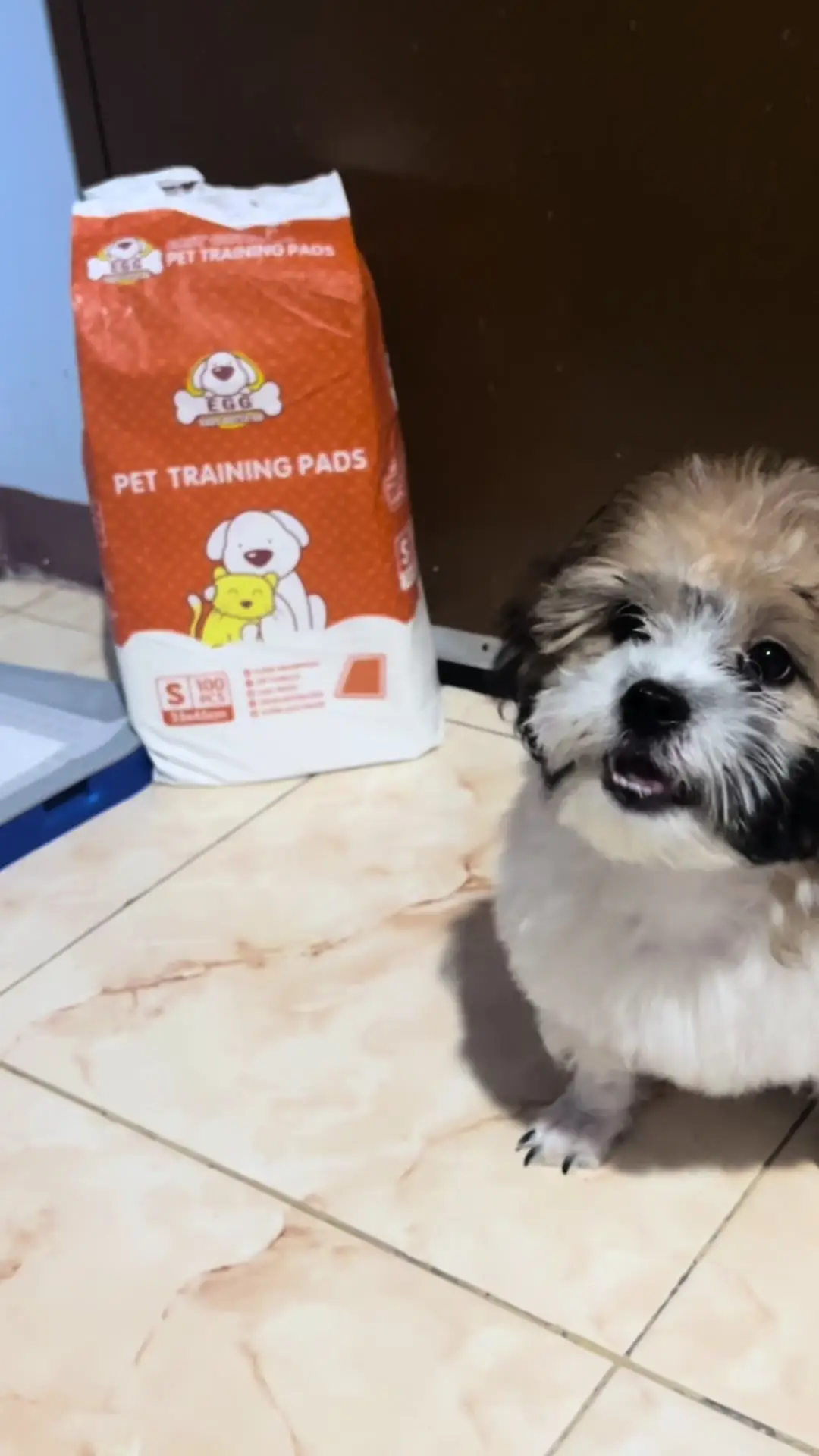 Tiktok post preview 3 from @grlyshnn