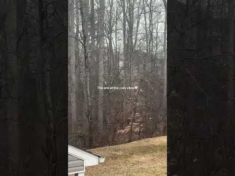 Youtube post preview 3 from UCg2LmTHyNeYYn-wa7Pl0WLw