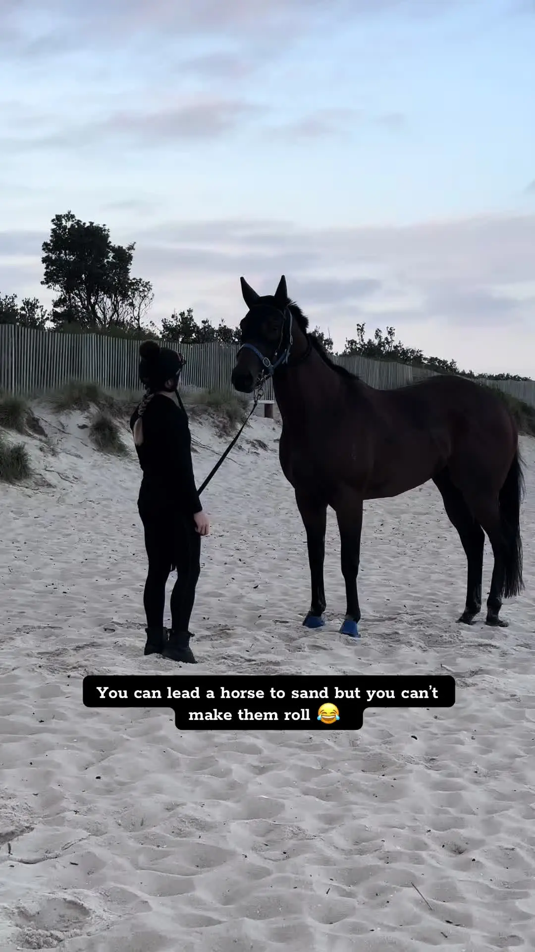 Tiktok post preview 1 from @sarahjane_5552