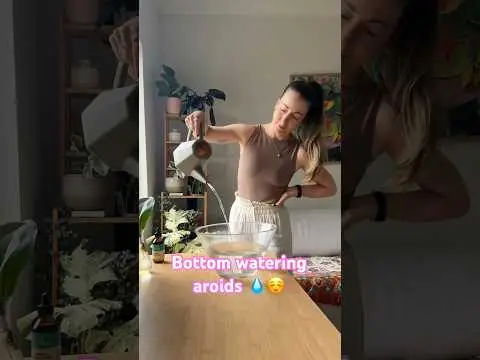 Youtube post preview 2 from UC8qMwI3O_9IwjB0LDn2dV3w