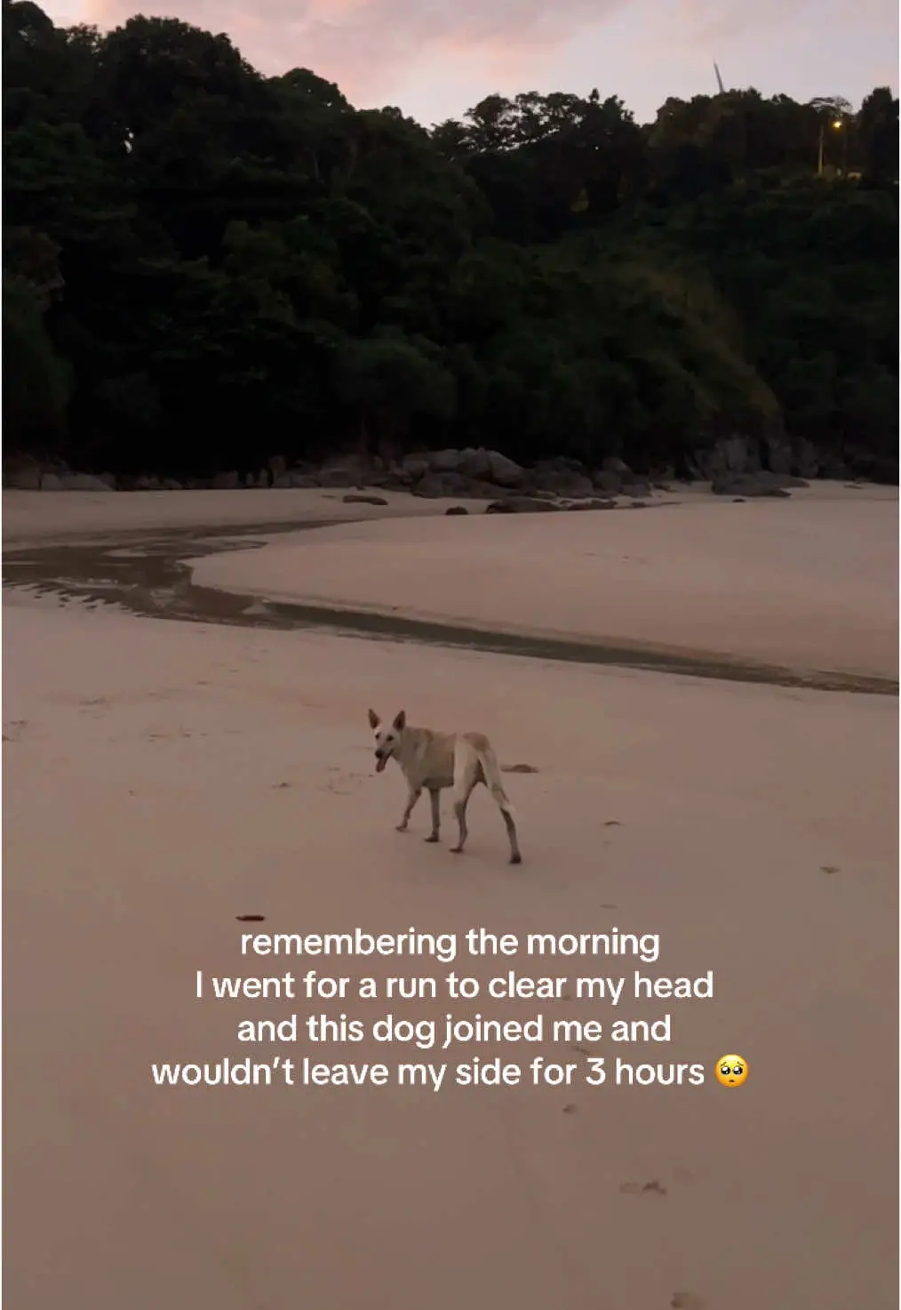 Tiktok post preview 2 from @sarahzhdavis