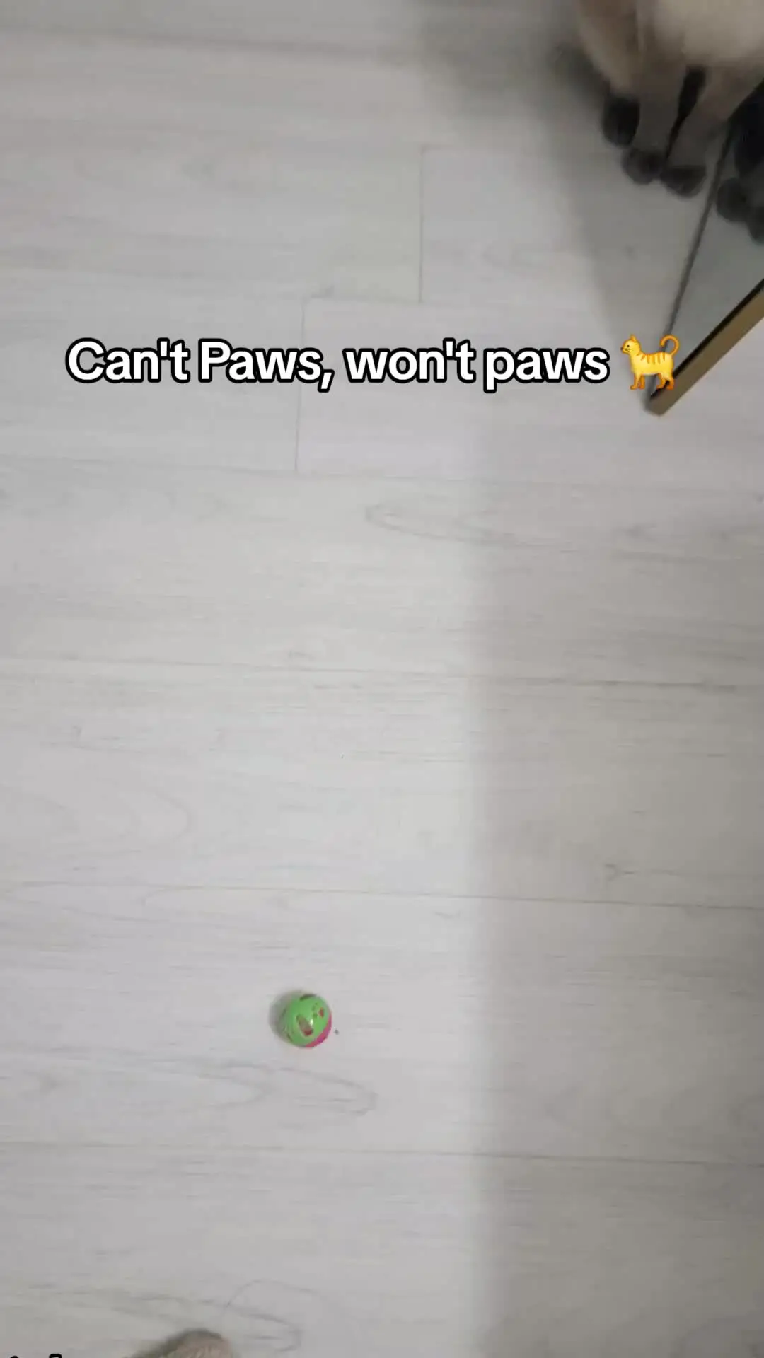 Tiktok post thumbnail