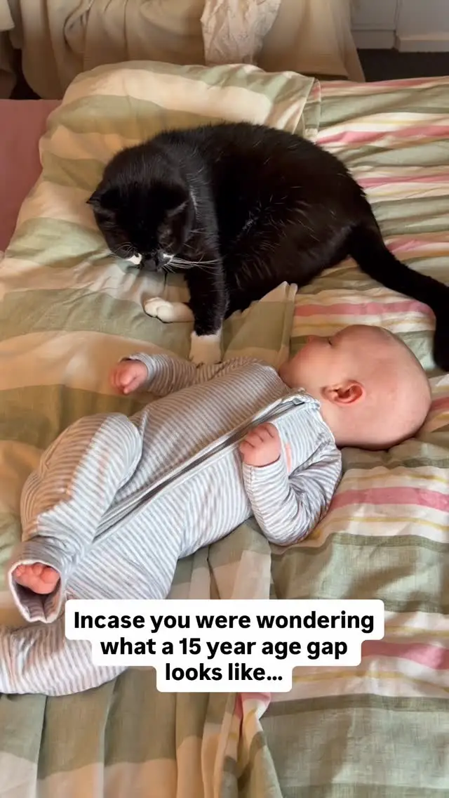 Instagram post preview 3 from gracieandbump