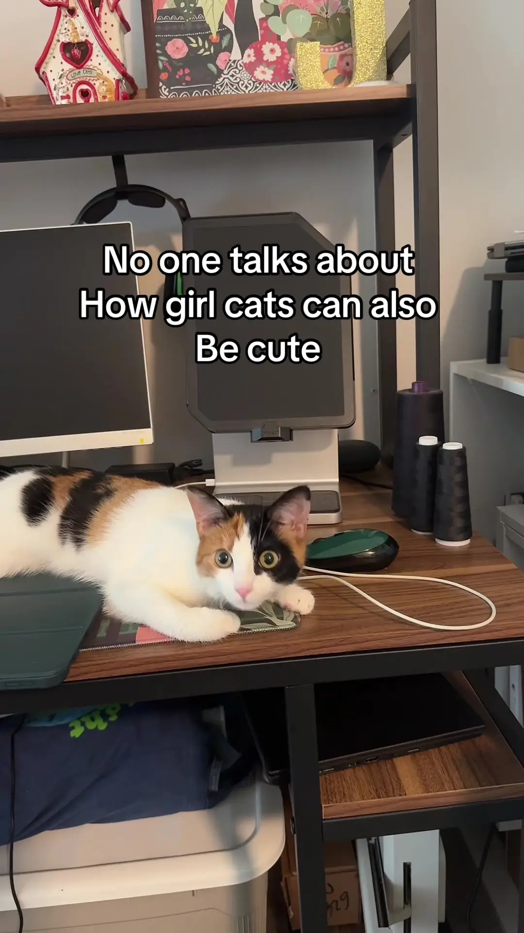 Tiktok post thumbnail