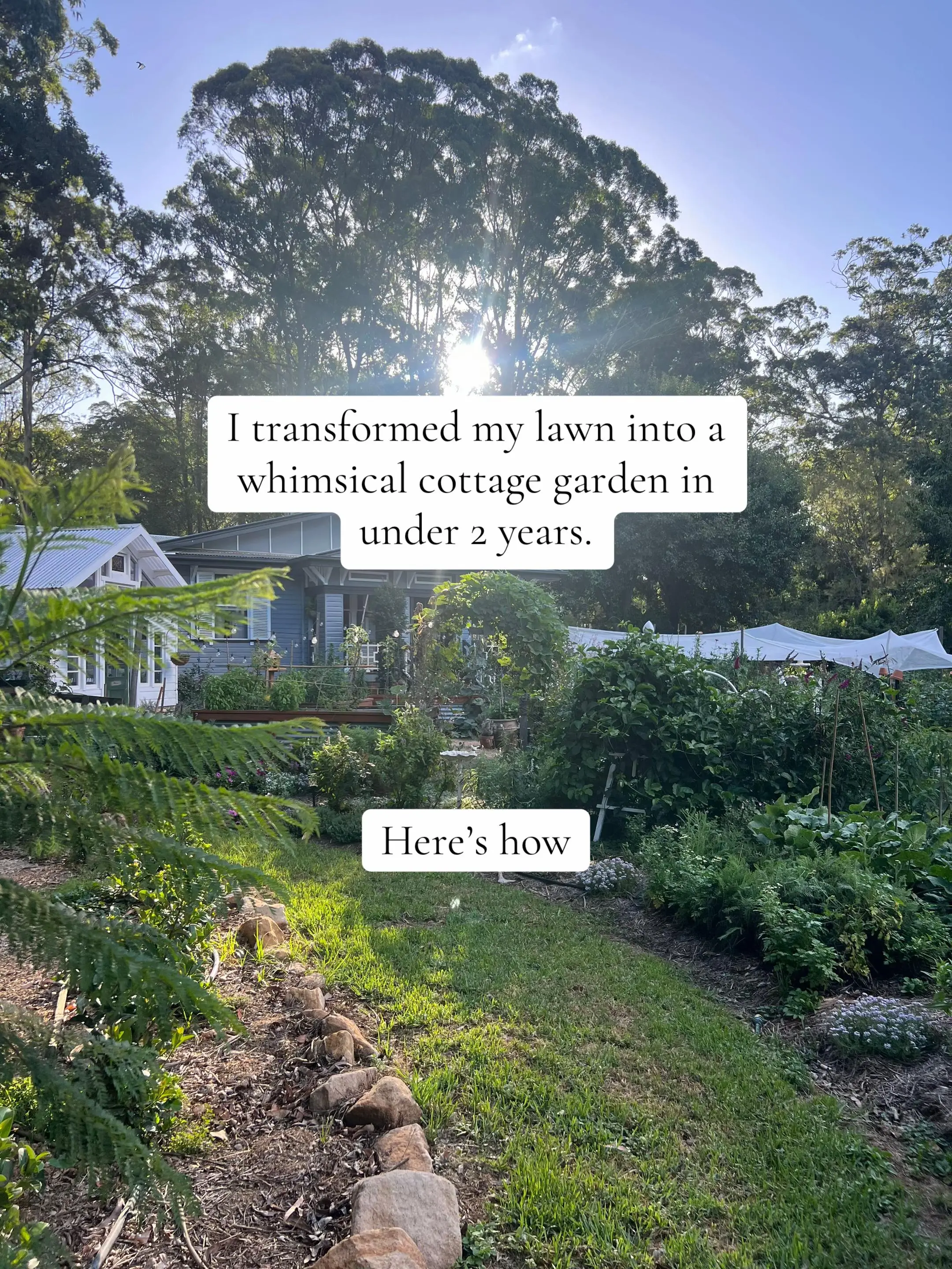 Tiktok post preview 1 from @avonleacottagegardens