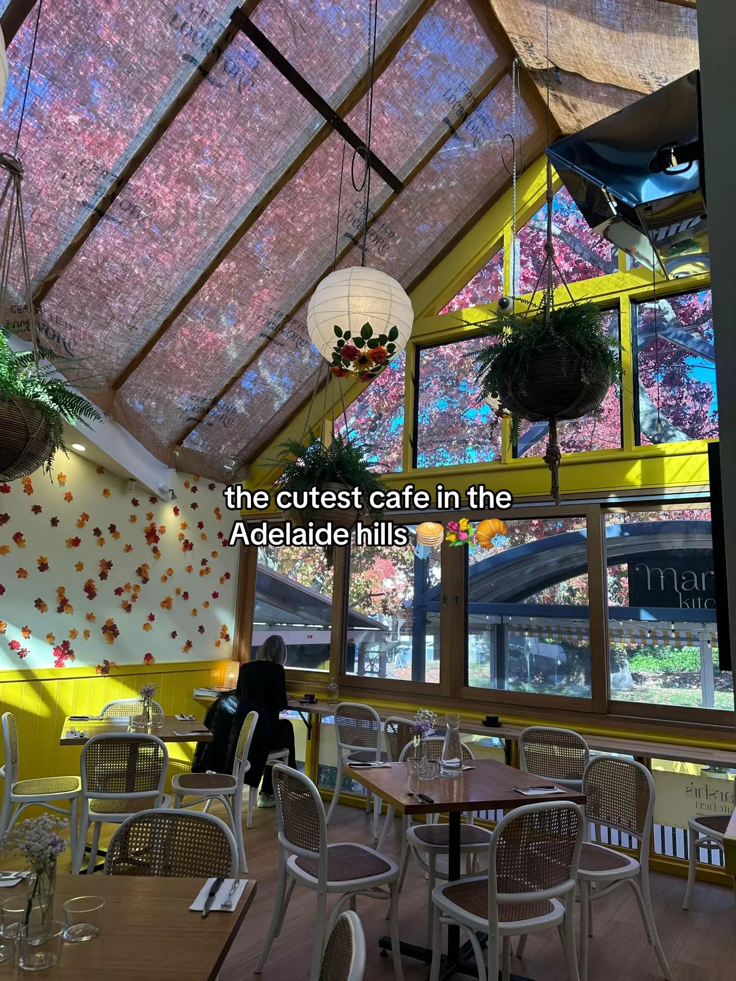 Tiktok post preview 2 from @georgiacn