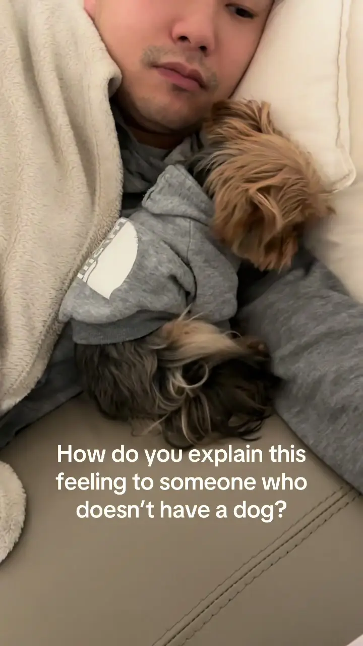 Tiktok post preview 3 from @yuzutheyorkie