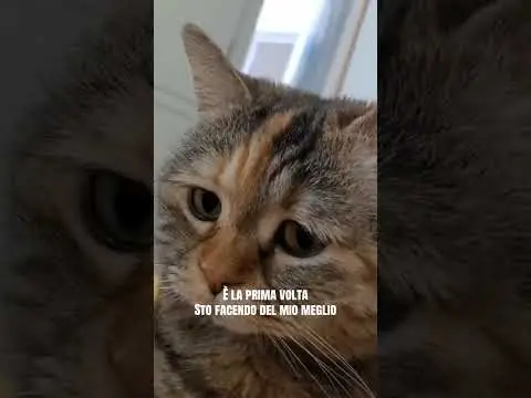 Youtube post preview 2 from UC1dWvBsXQMXoTcVi55oxkIw