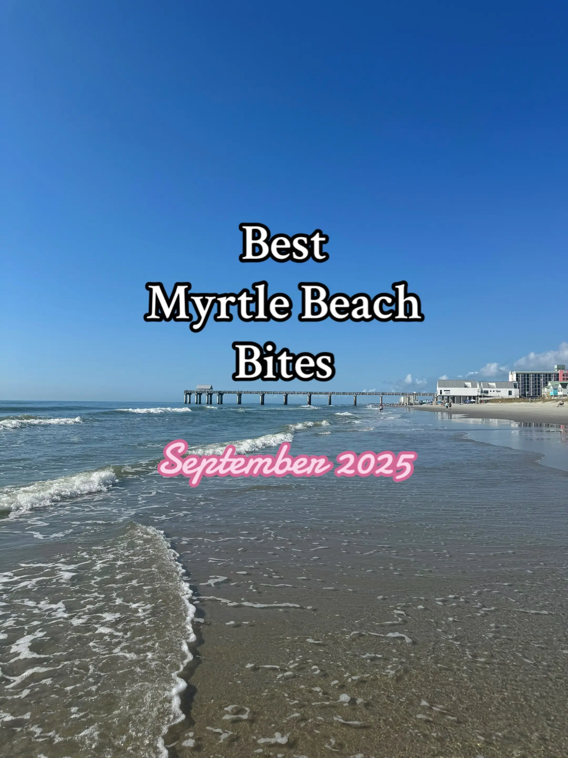 Tiktok post preview 3 from @themyrtlebeachbite