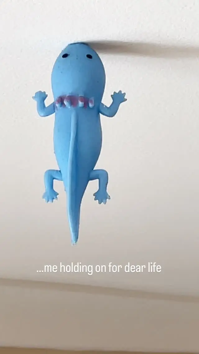 Instagram post thumbnail