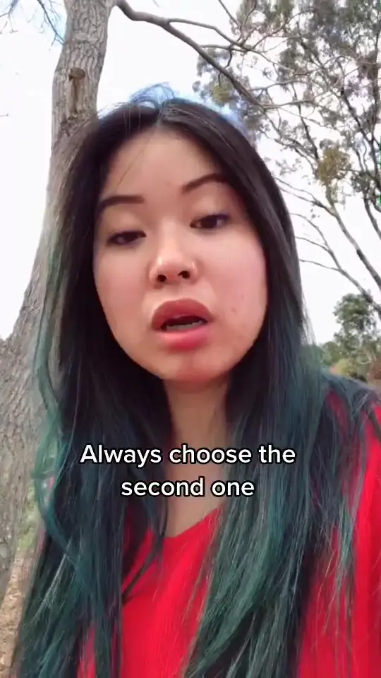 Tiktok post preview 2 from @tipsyturtle.collective