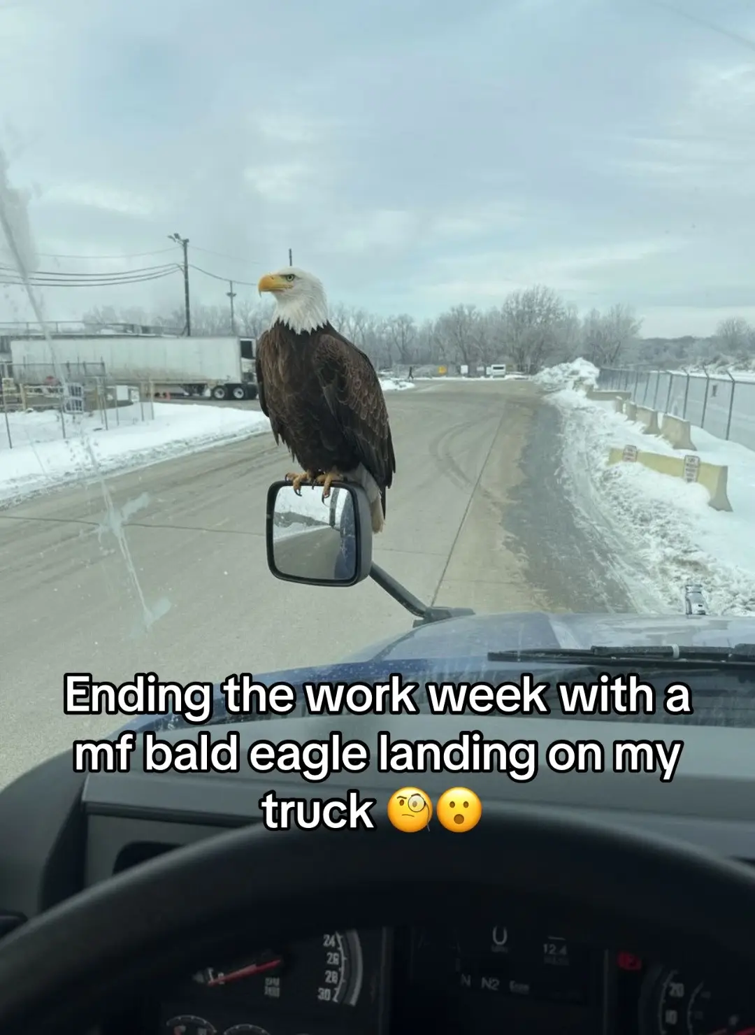 Tiktok post thumbnail