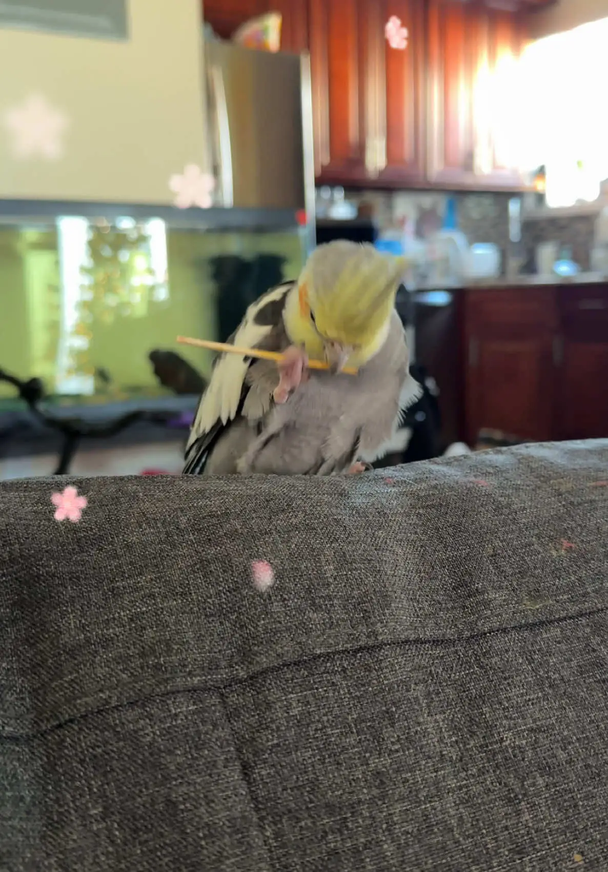 Tiktok post thumbnail