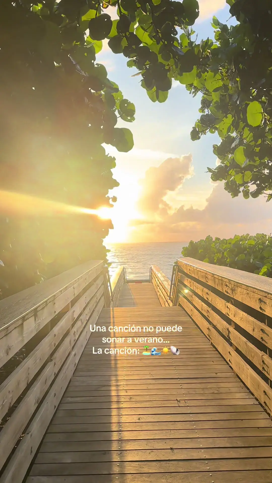 Tiktok post preview 2 from @curlswithlu