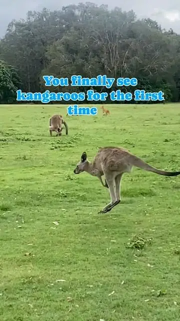 Instagram post preview 3 from mattandfliss