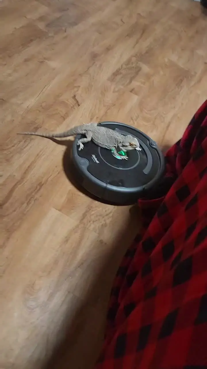 Tiktok post thumbnail