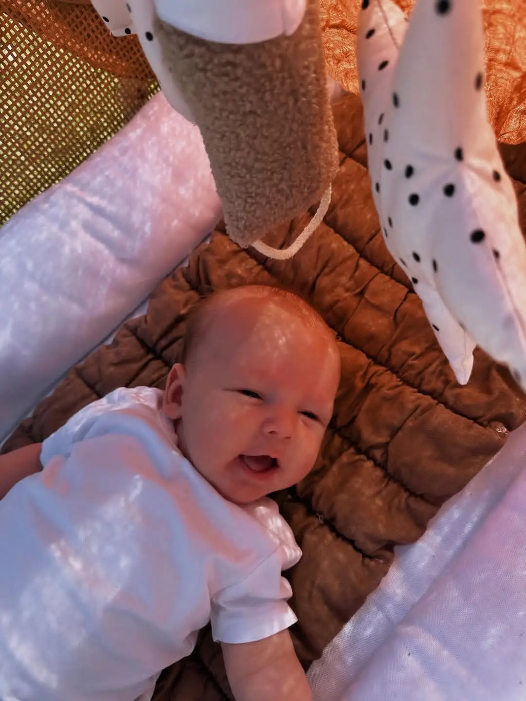 Instagram post preview 3 from boymumchronicles